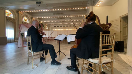 Blackbird - Harp TRIO